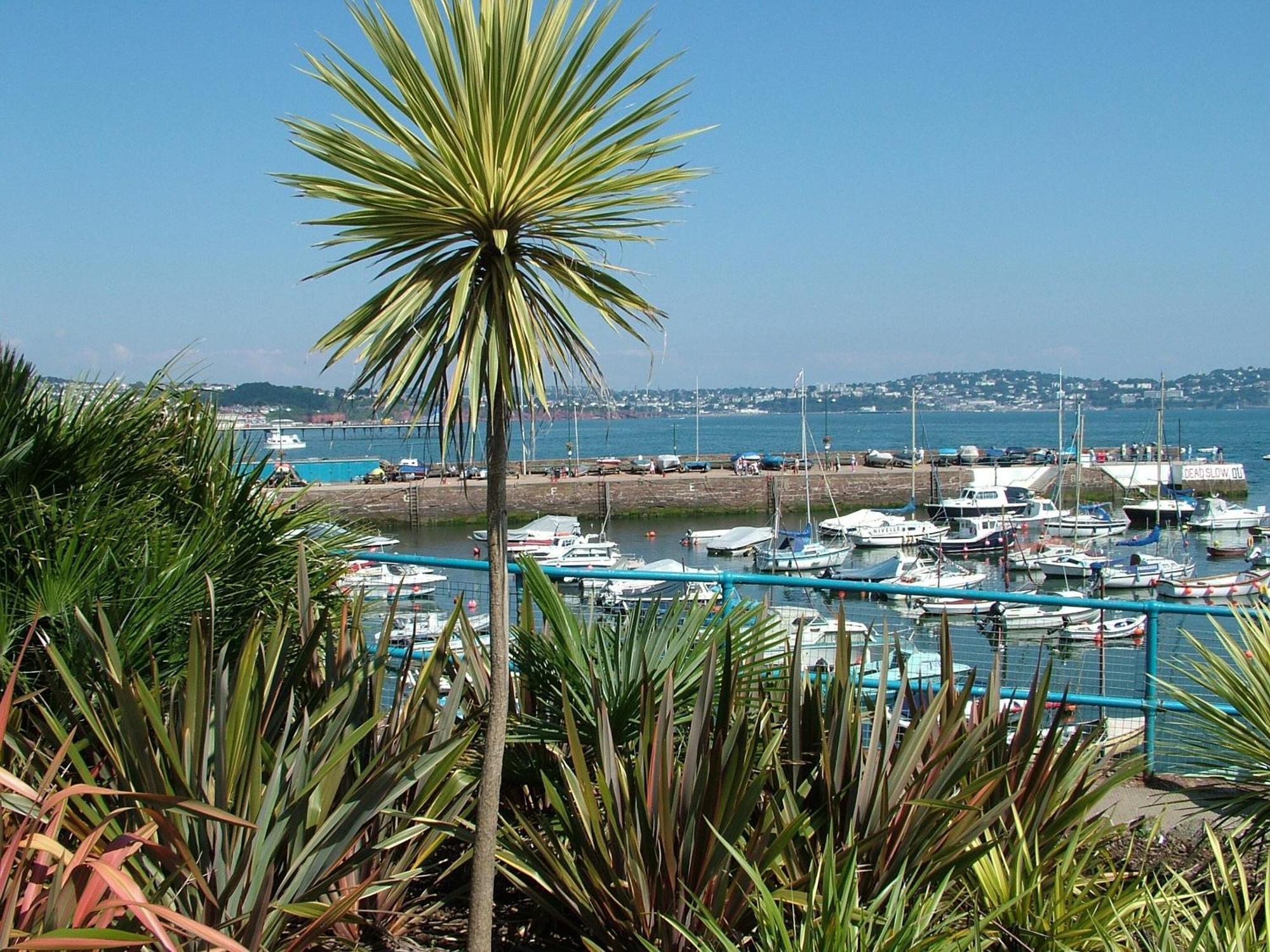 8 Belvedere Court Paignton Eksteriør billede